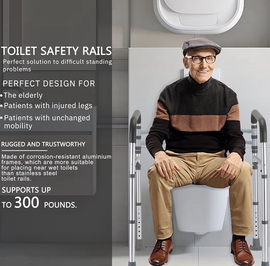 Toilet safety rails 